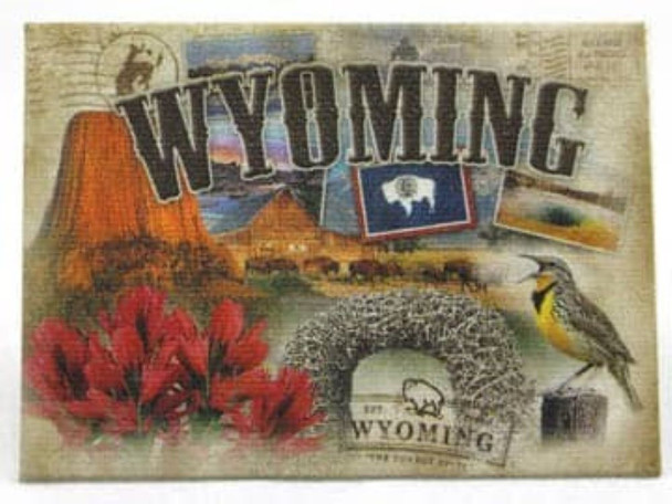 Sparkle Wyoming Magnet