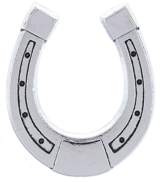 The Lucky Little Horseshoe Charm