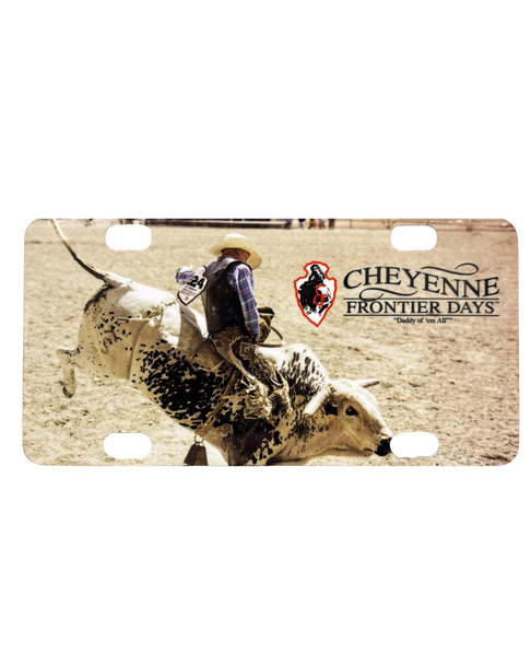Small Souvenir License Plate