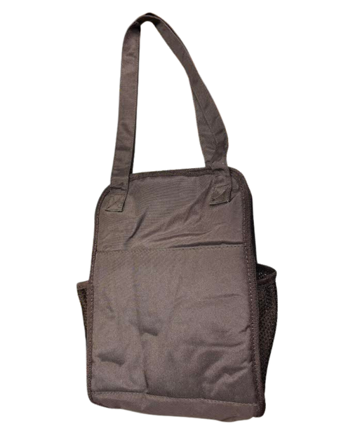 Wyoming Steamboat Miniature Insulatred Tote Bag