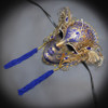 Masquerade Mask Luxurious Wall Decor Mask Gold Blue M31080