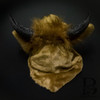 Animal mask, cow costume mask, cow mask, cow mascot, cow head, cow costume, ox costume, year of the ox, animal party mask. Mouth mover over the heaad mask.