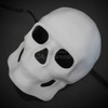 Unpainted Full Skull Masquerade DIY Mask 