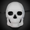 Unpainted Full Skull Masquerade DIY Mask 