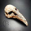 plague doctor mask, animal skull mask