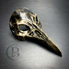plague doctor mask, masquerade masks, masquerade mask, masquerade ball mask, halloween mask, halloween masquerade, plague doctor mask, crow mask, animal mask, animal costume mask, evil animal mask