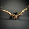 medusa costume headband, horns headdress headband masquerade mask
