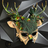 natural beige mask, devil horns, red ram horns mask, long horns halloween ram mask voodoo tribal mask, Women Pagan ritual headdress shamon skull headpiece deer antler skull headpiece ancestral ritual ram horns animal skull mask