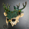 natural beige mask, devil horns, red ram horns mask, long horns halloween ram mask voodoo tribal mask, Women Pagan ritual headdress shamon skull headpiece deer antler skull headpiece ancestral ritual ram horns animal skull mask
