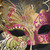 Dream Butterfly Masquerade Mask Gold Hot Pink M7103