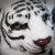 White Tiger Costume Mask | Tiger Over the Head Mask Black White Stripes