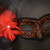 Amazing masquerade masks with feathers.