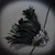 Roman Masquerade Mask Feathers M31013 Silver