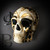 skull mask, skull masks, day of the dead mask, skull mask, day of the dead, sugar skull, scary skull mask, halloween mask. skull mask, skull masks, day of the dead mask, skull mask, day of the dead, sugar skull, scary skull mask, halloween mask.