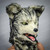 Werewolf wolf mascot masquerade mask, wolf masquerade mask, wolf mask, wolf mascot, wolverine mask. Wolf Over the head mask.