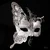 Masquerade masks for prom, masquerade masks for men