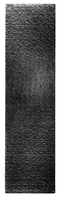 Acorn RMLBP: 15" x 3-5/16" Push Plate - Black Rough Iron