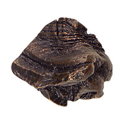 Hawk Hill 368BL: 1-1/2" Roots Cabinet Knob - Black