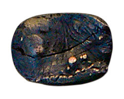 Hawk Hill 396SS: 1-1/2" Burl Cabinet Knob - Brass