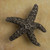 Anne At Home 167: Dancing Starfish Cabinet Knob