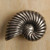 Anne At Home 618: 2" Nautilus Cabinet Knob - Left Facing