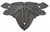 Notting Hill NHH-907-AP: Dragonfly Cabinet Hinge Plate (pair) - Antique Pewter Notting Hill NHH-907-AP: Dragonfly Cabinet Hinge Plate (pair) - Antique Pewter
