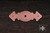 RKI BP-1790-DC: 3-1/2" Decorative Backplate w/One Hole - Distressed Copper