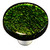 Aquila HK1024-KRB: 1-1/2" Solid Round Cabinet Knob w/Black Post - Light Metallic Green