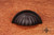 RKI CF-5251-RB: 3" cc Heavy Half Melon Cup Cabinet Pull - Oil Rubbed Bronze