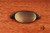 RKI CF-5246-AE: 3" cc Elliptical Cup Cabinet Pull w/Dummy Screws - Antique English