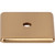 Top Knobs TK3280HB: 1-1/4" Radcliffe  Backplate - Honey Bronze