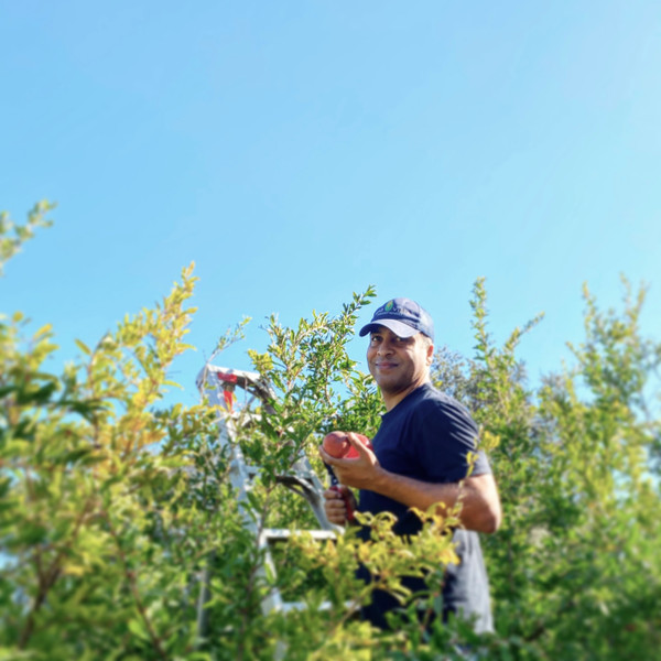 Say "hi" to Eric as he delicately harvests all this delicious goodness!