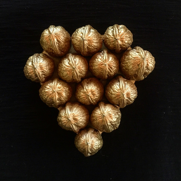 We made this "super-hero" shield out of walnuts for Corky's Halloween costume. ;)
