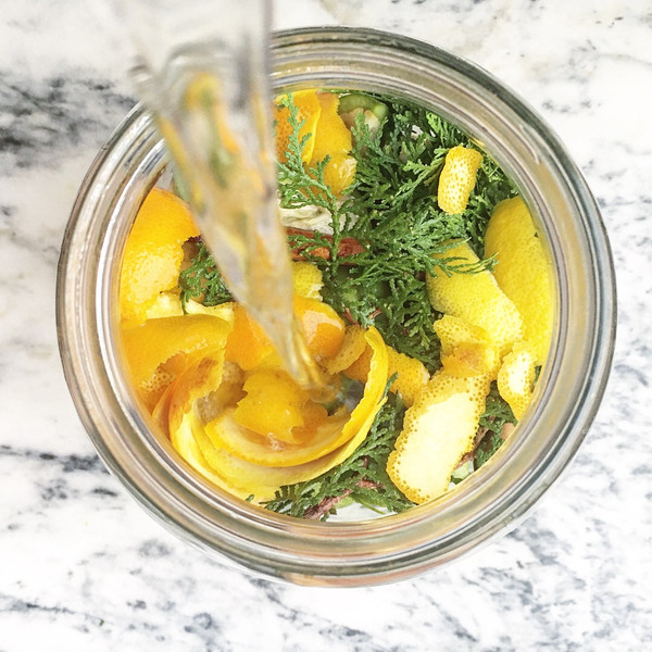 Nocino in the making: Green organic walnuts, citrus, spices and alcohol (Everclear or vodka). 