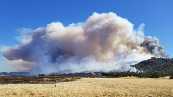 SUMMERTIME = FIRE SEASON