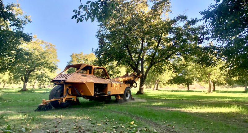 IT'S HARVEST TIME!!!