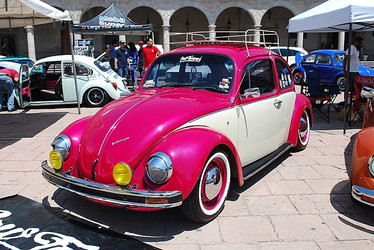These car names may bug you