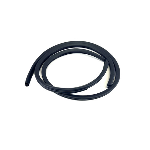 Door Seal on Body, Rear