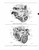 Parts Catalog for 1956-1959 Mercury Chassis & Body