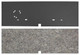 Trunk Divider Board & Jute Combo Kit for 1971-1972 Chevy GMC A Body Convertible