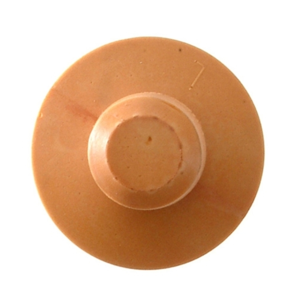 Coil Spring Seat for 1999-2003 Domestics 1pc Rear 18856