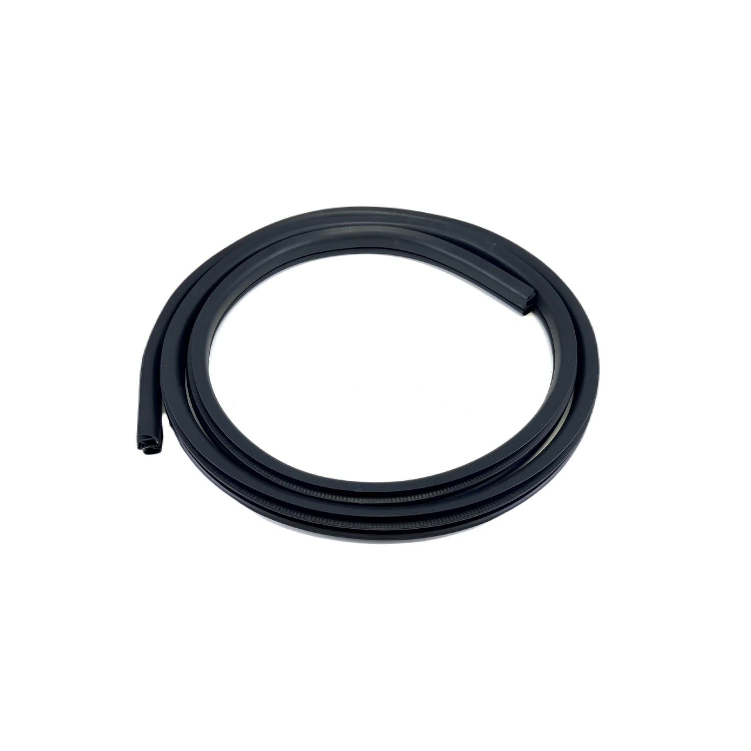 Door Seal on Body, Rear