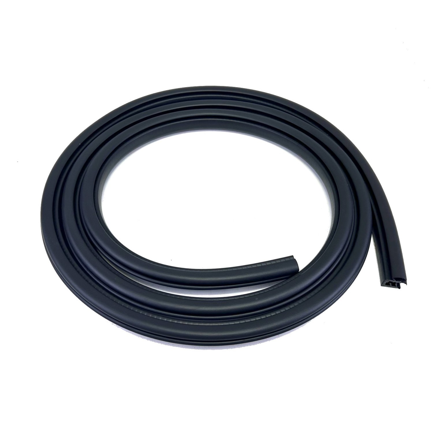 Door Seal on Body, Front