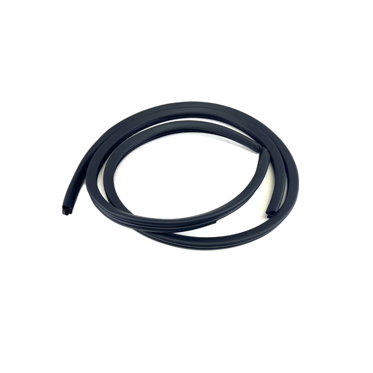 Door Seal on Body, Rear