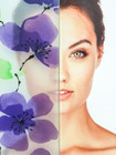 Purple Flowers Frosted Privacy Film