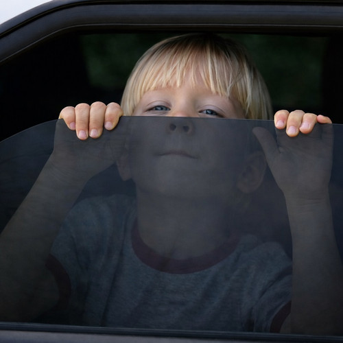 Window Tint Film 20%