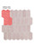RPPT50-SAMPLE