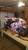 Camouflage Wrap Bike Kit - Vinyl + Tools