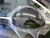 Clear Gloss Protection Vinyl PPF Film - CPF260