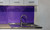GLOSS LOLLIPOP PURPLE VINYL WRAP GLP116